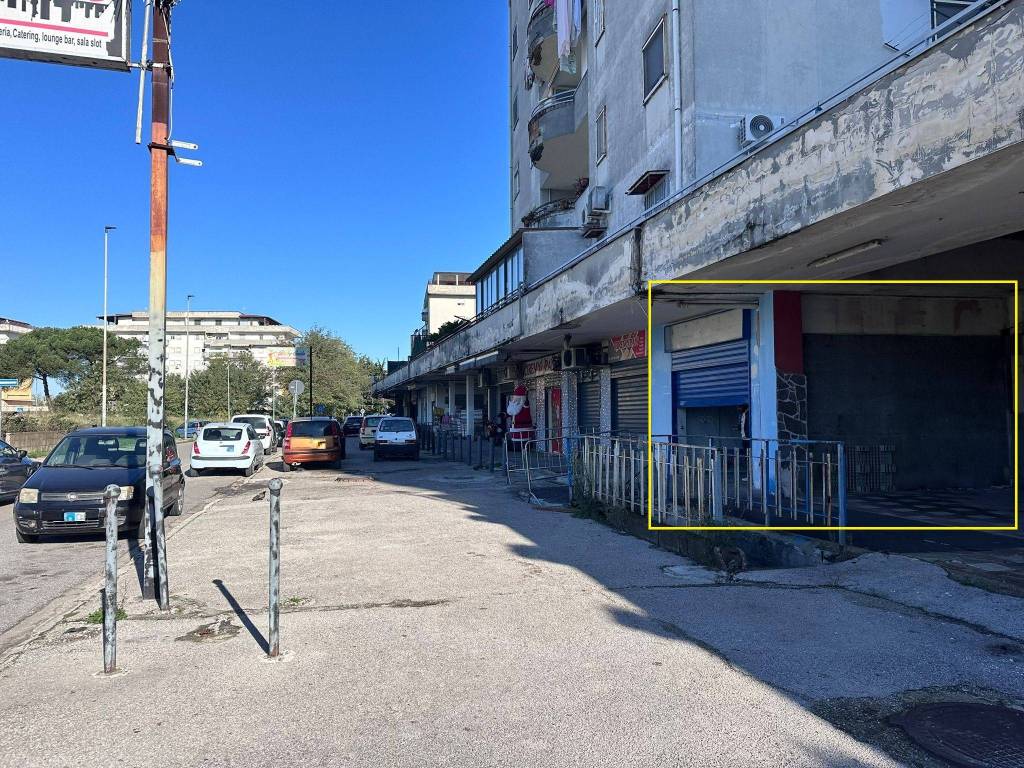 immagine annuncio 6 di 14