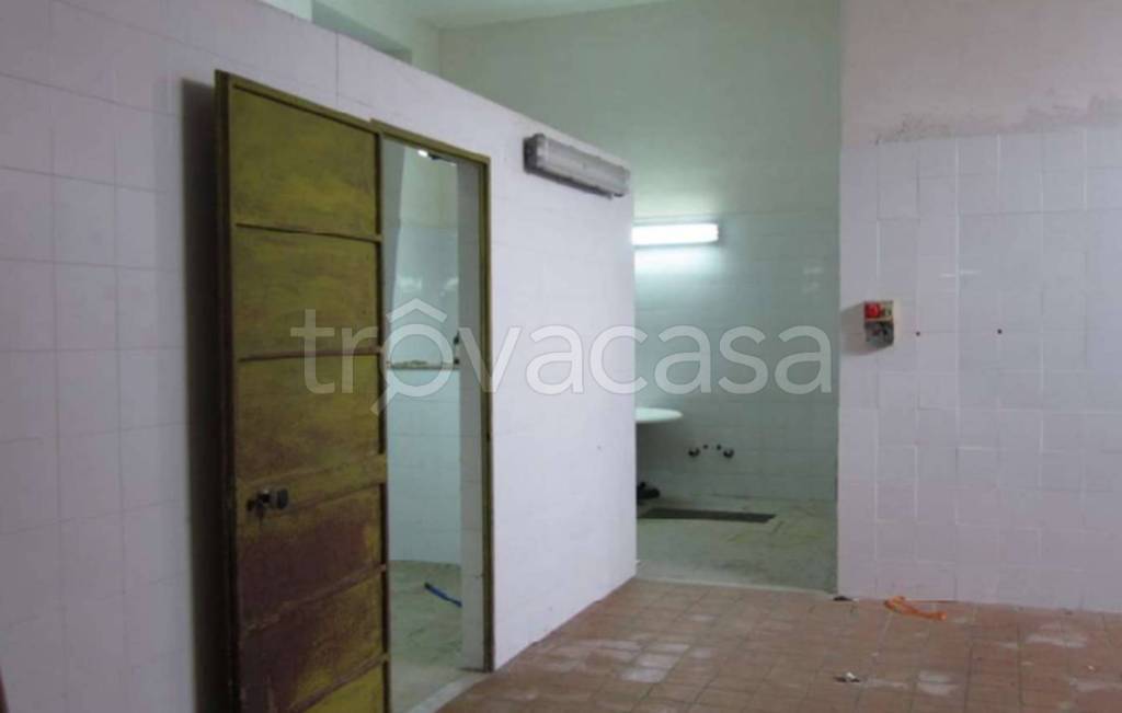 immagine annuncio 9 di 14