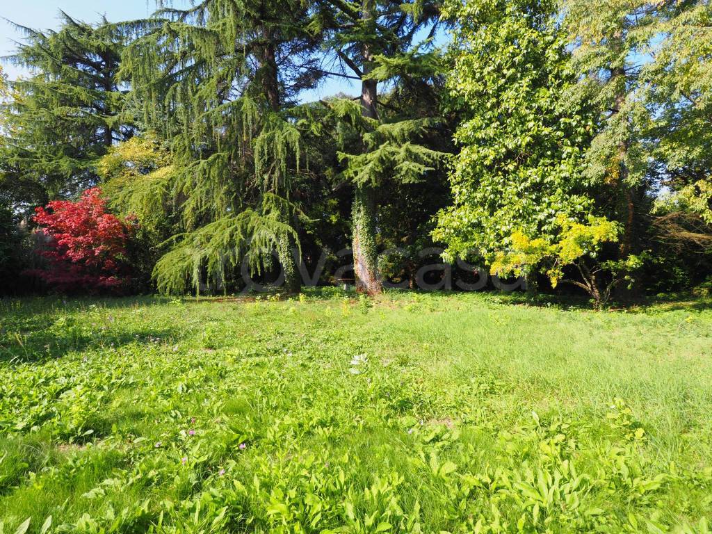 immagine annuncio 4 di 14