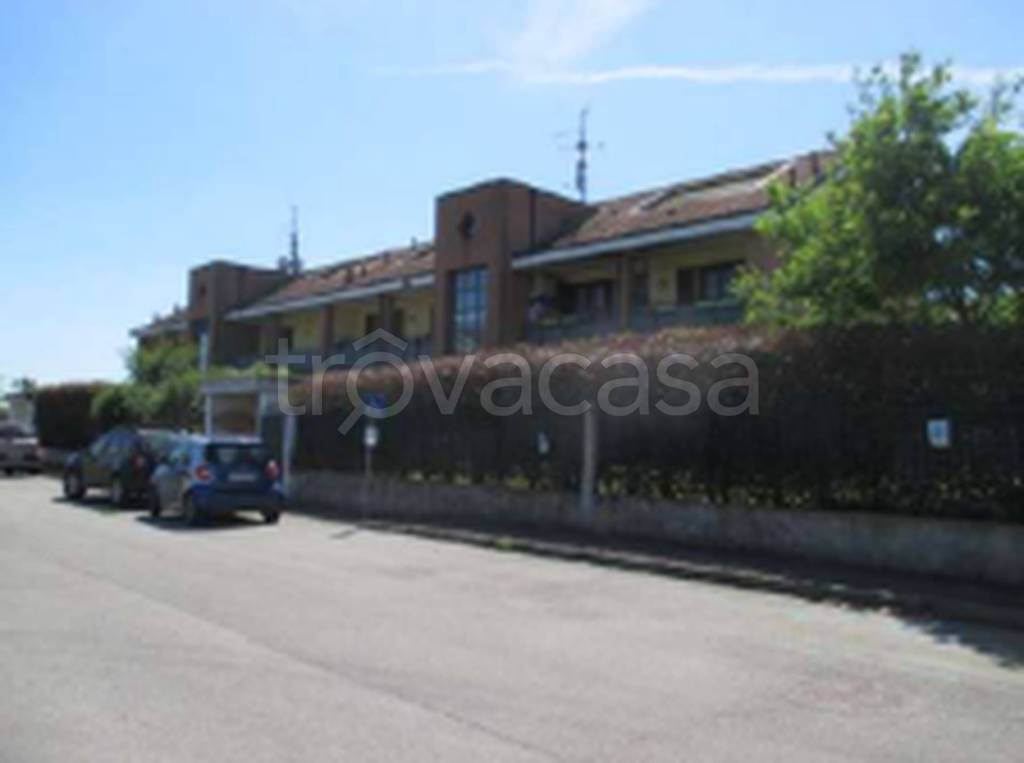 immagine annuncio 5 di 11