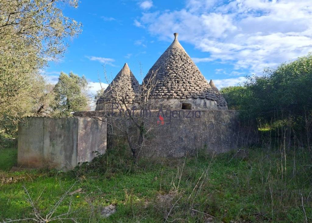 immagine annuncio 1 di 11