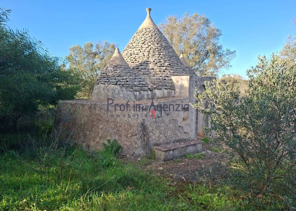 immagine annuncio 2 di 11