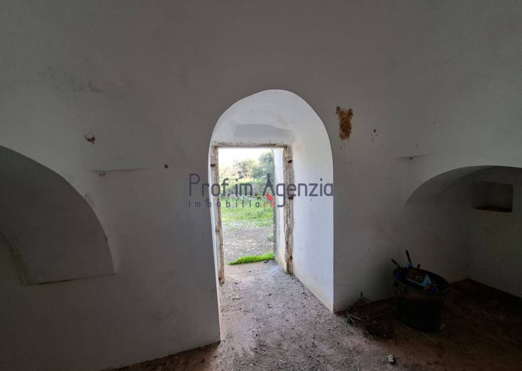 immagine annuncio 4 di 11