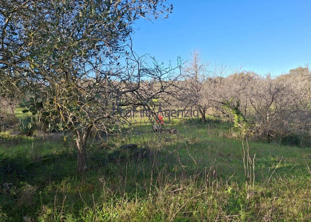 immagine annuncio 8 di 11