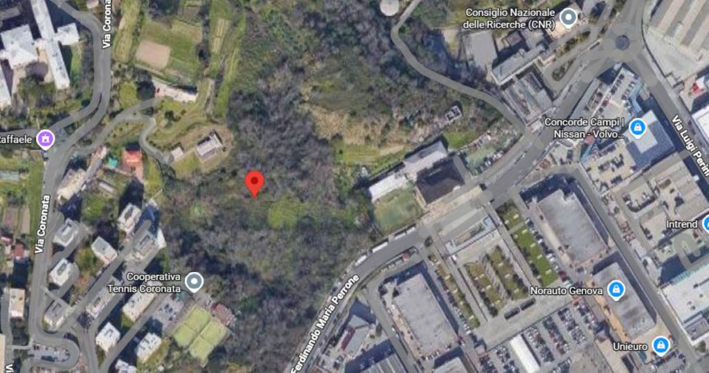 immagine annuncio 7 di 13