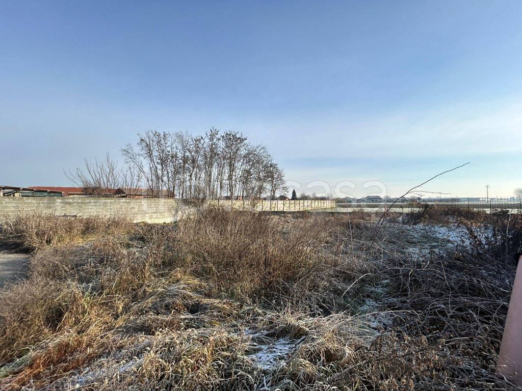 immagine annuncio 4 di 6