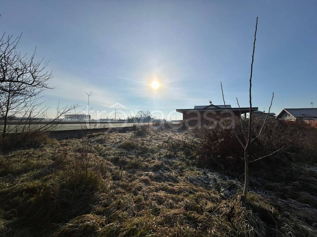 immagine annuncio 1 di 6