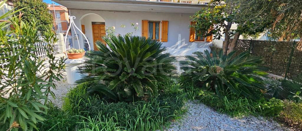 immagine annuncio 2 di 8