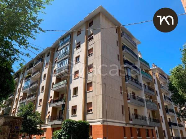 immagine annuncio 11 di 12