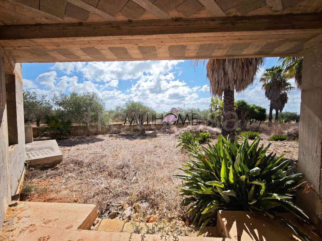 immagine annuncio 7 di 8