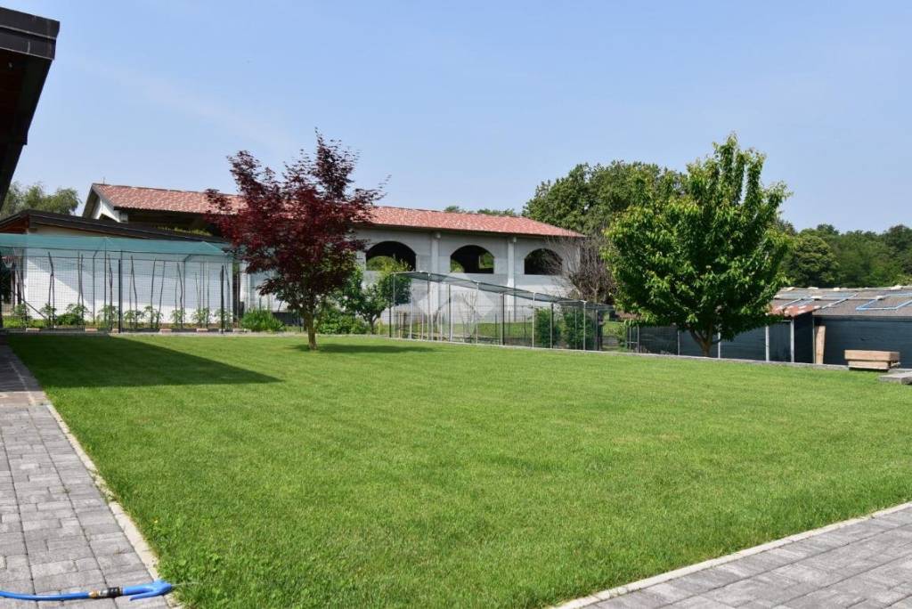 immagine annuncio 7 di 15