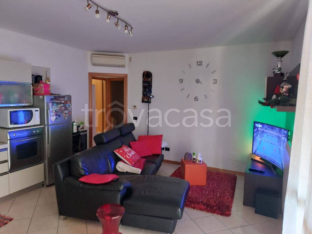 immagine annuncio 1 di 14