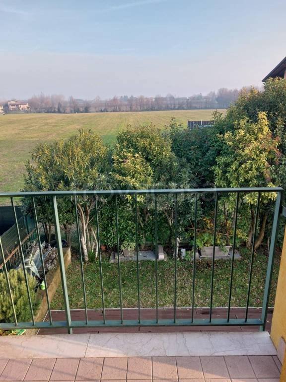 immagine annuncio 12 di 14