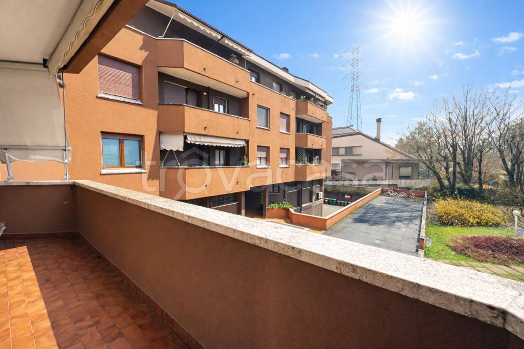 immagine annuncio 10 di 15