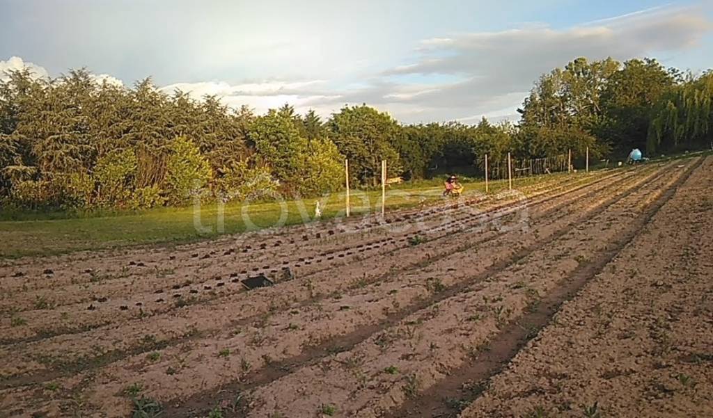 immagine annuncio 6 di 14