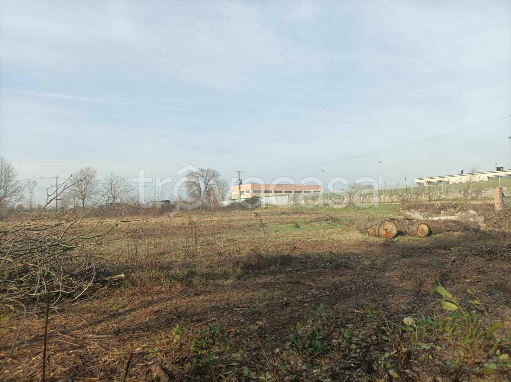 immagine annuncio 13 di 14