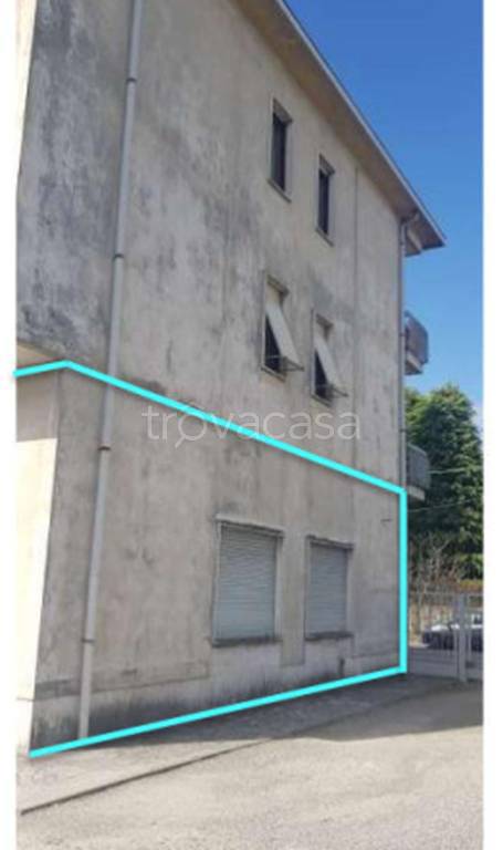 immagine annuncio 4 di 11