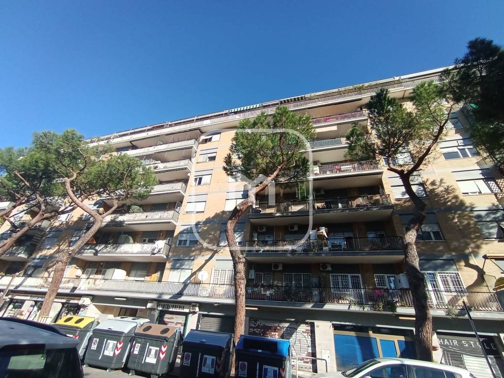 immagine annuncio 2 di 12