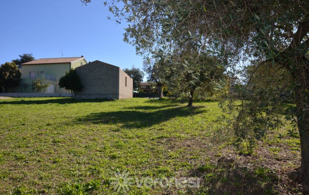 immagine annuncio 5 di 11