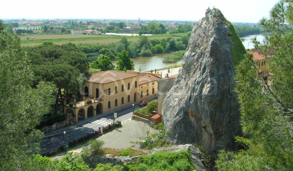 immagine annuncio 4 di 8