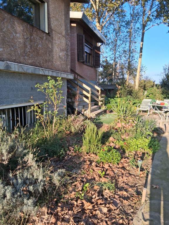 immagine annuncio 2 di 11