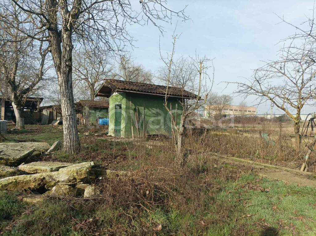 immagine annuncio 6 di 11