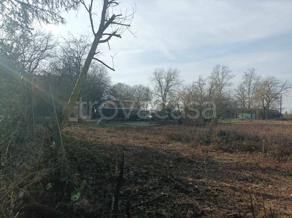 immagine annuncio 7 di 11