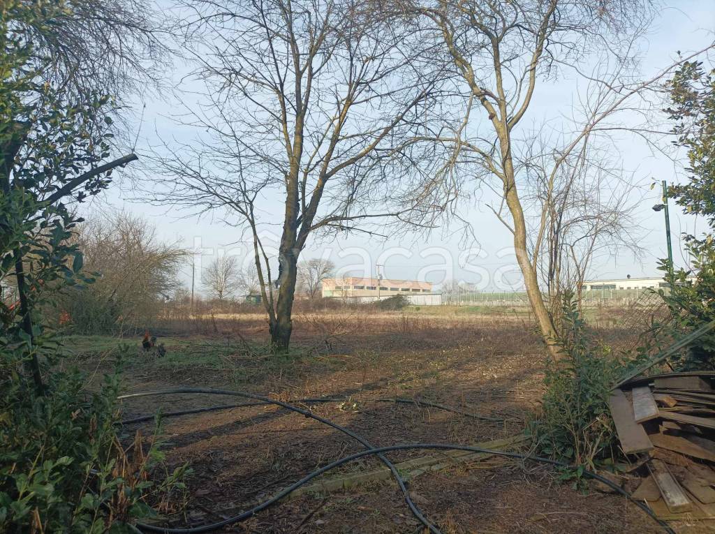 immagine annuncio 10 di 11