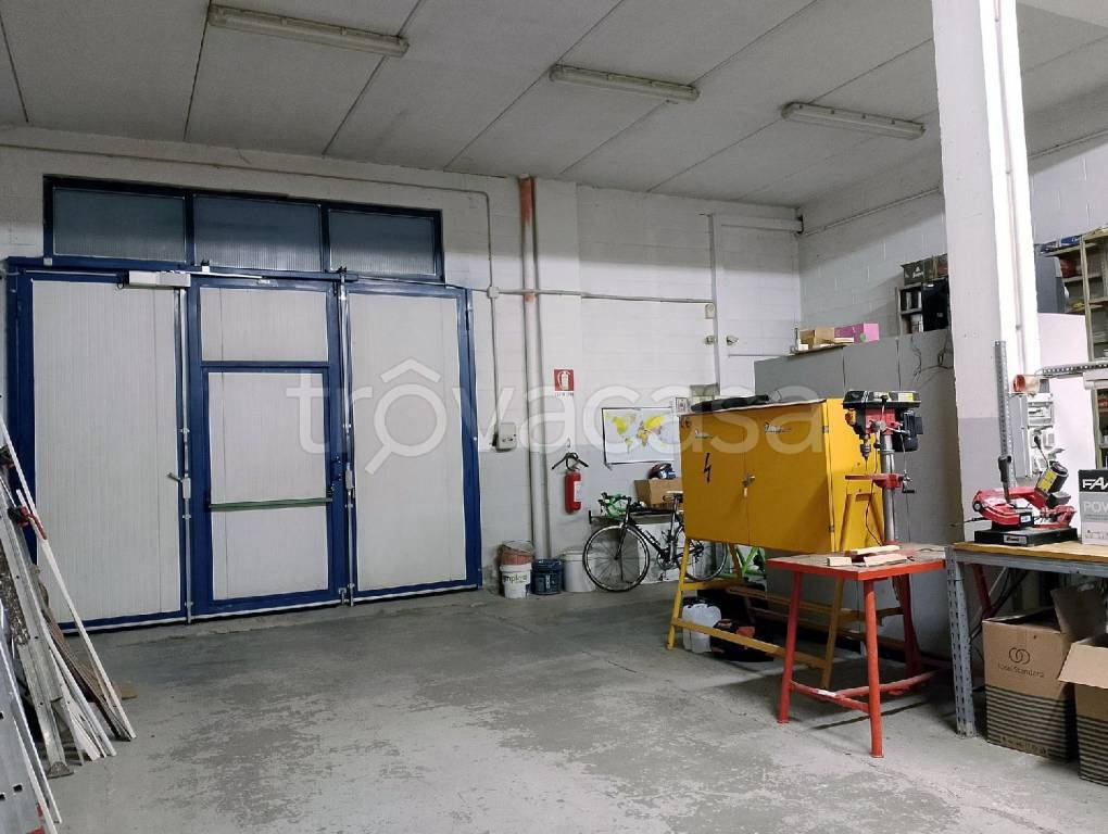 immagine annuncio 12 di 15