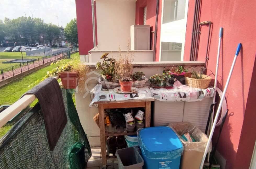 immagine annuncio 11 di 15