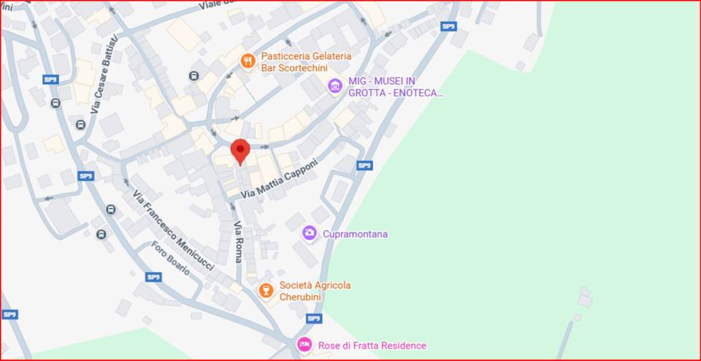 immagine annuncio 10 di 12