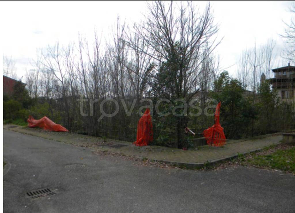 immagine annuncio 4 di 12