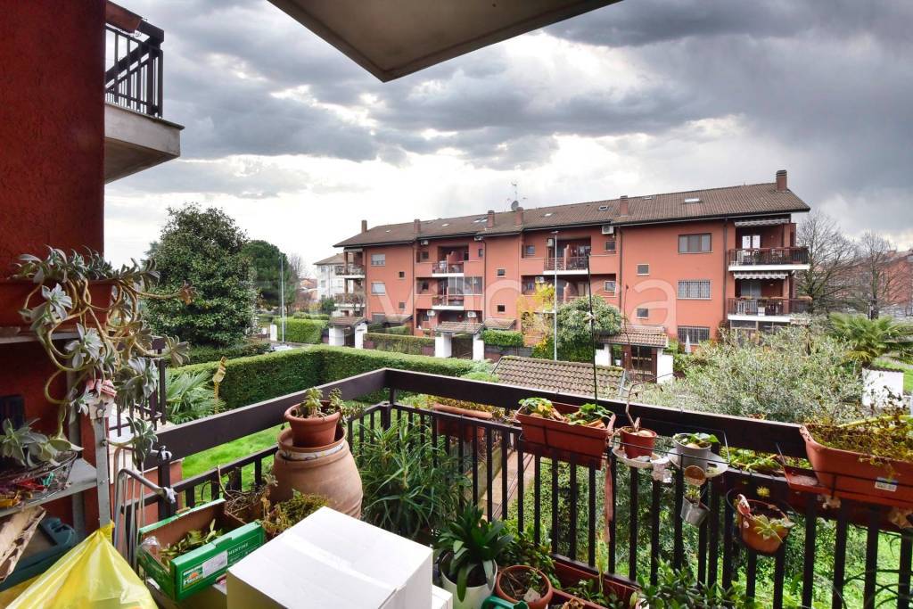 immagine annuncio 7 di 15