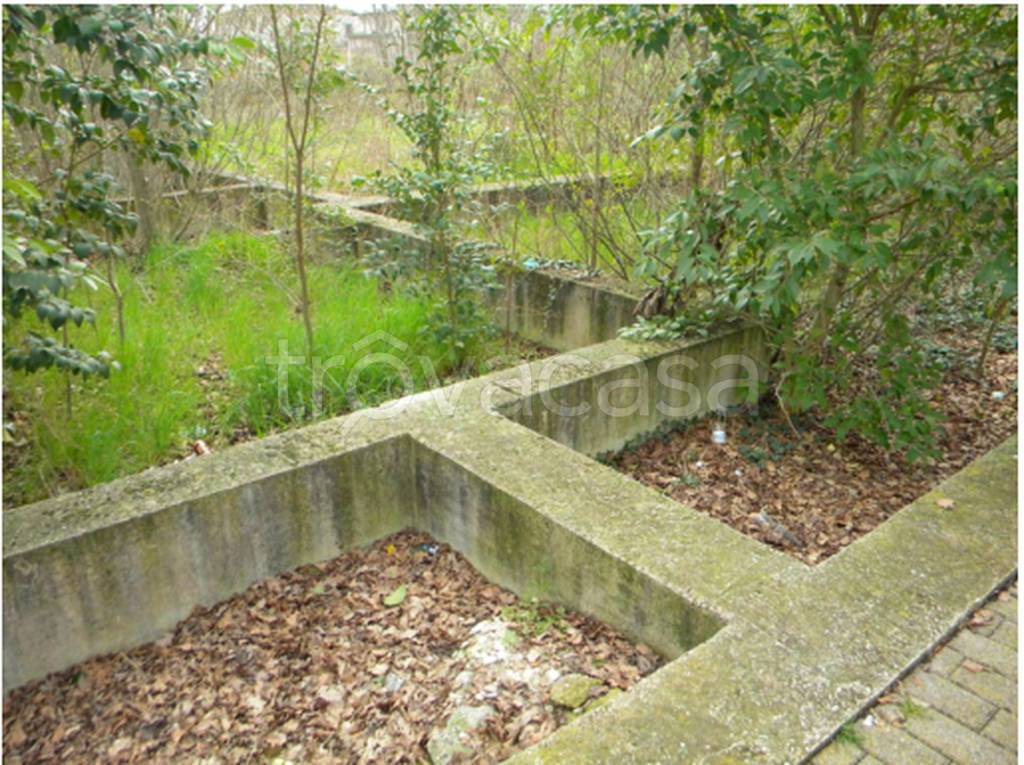 immagine annuncio 7 di 12