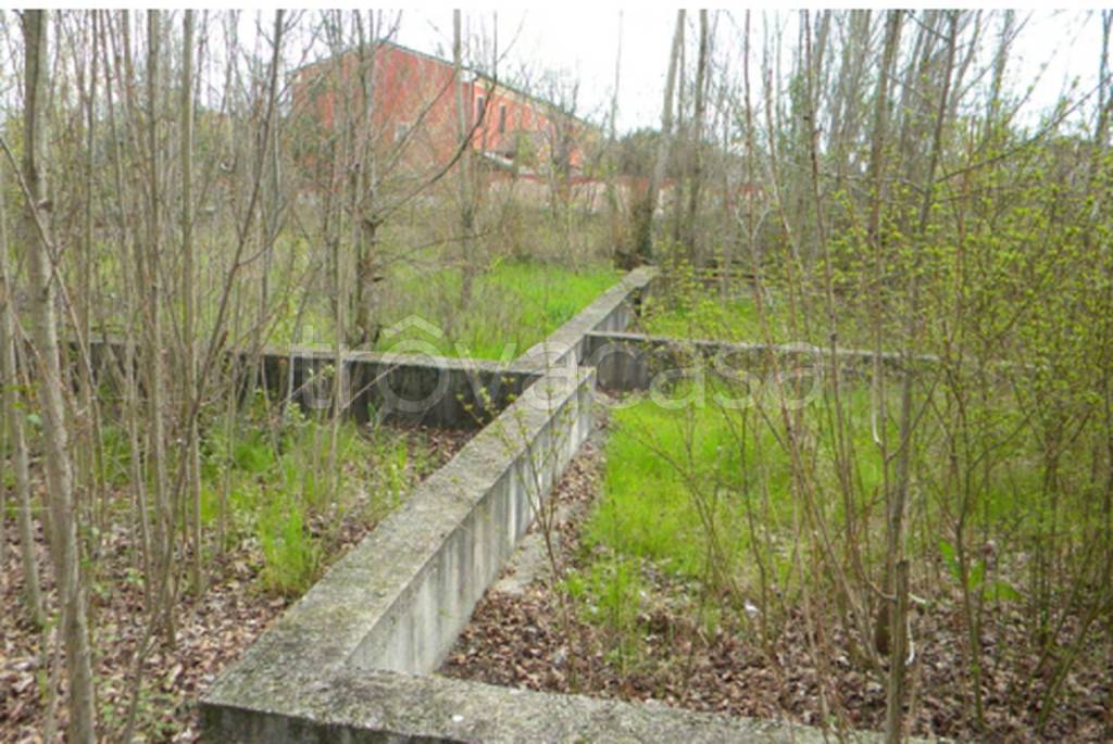 immagine annuncio 9 di 12