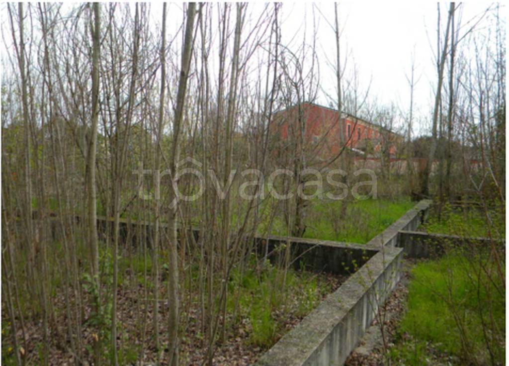 immagine annuncio 8 di 12