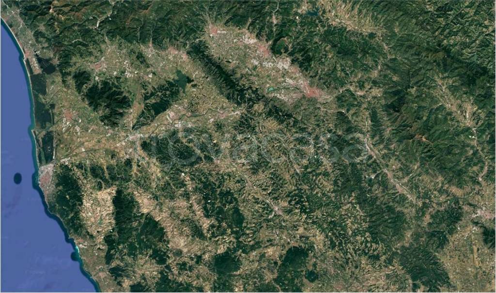 immagine annuncio 5 di 8