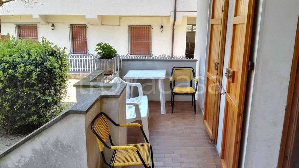 immagine annuncio 2 di 14