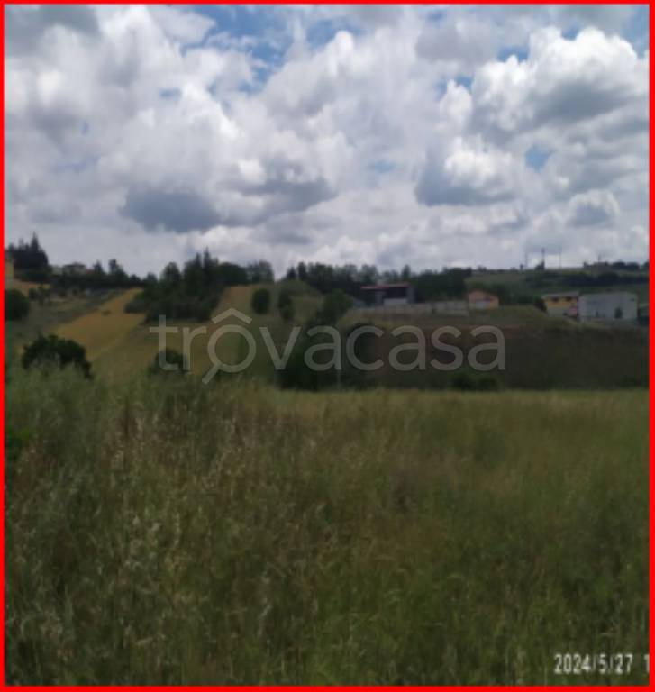 immagine annuncio 4 di 12