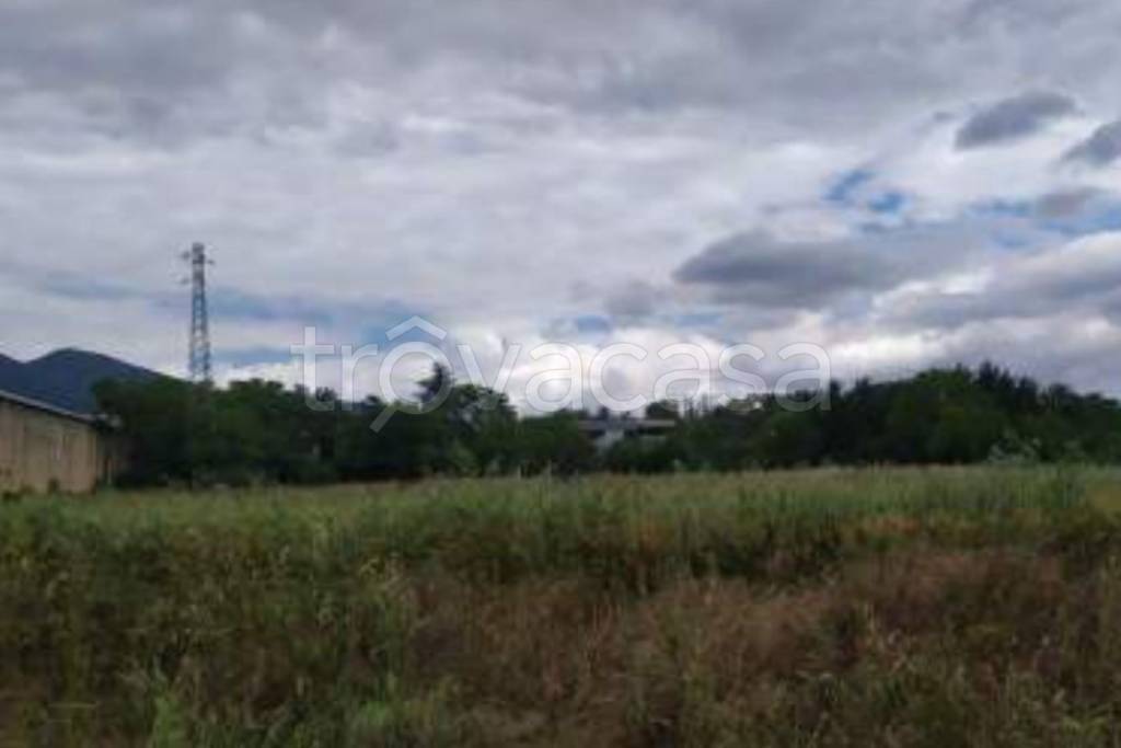 immagine annuncio 8 di 12