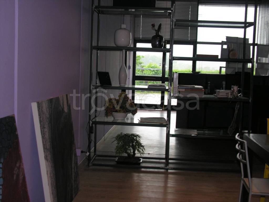 immagine annuncio 2 di 6