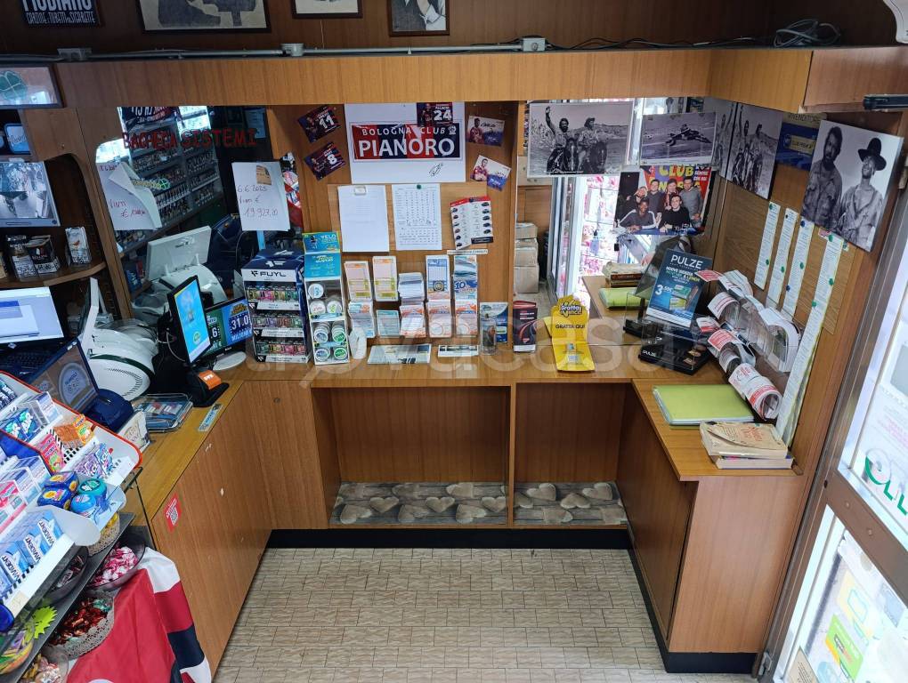 immagine annuncio 9 di 15