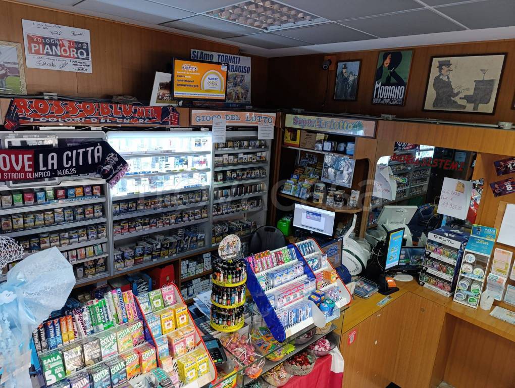 immagine annuncio 11 di 15