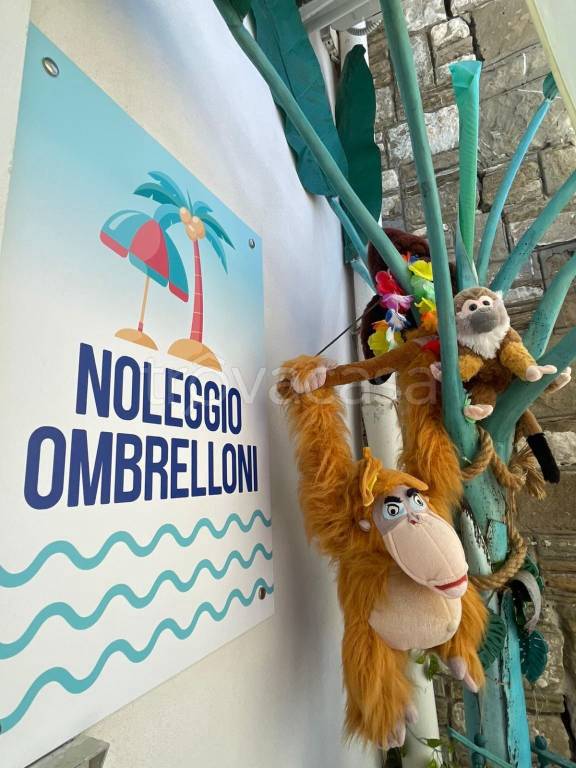 immagine annuncio 2 di 4