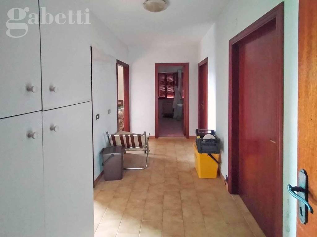 immagine annuncio 12 di 14