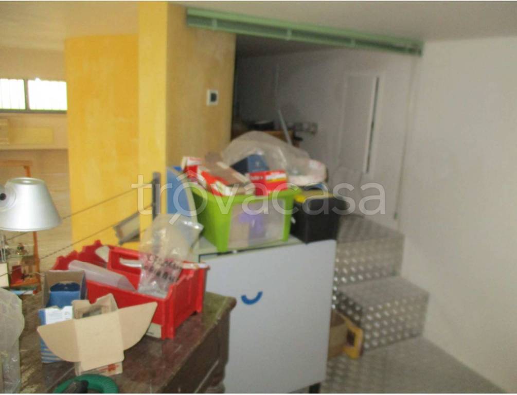 immagine annuncio 3 di 11