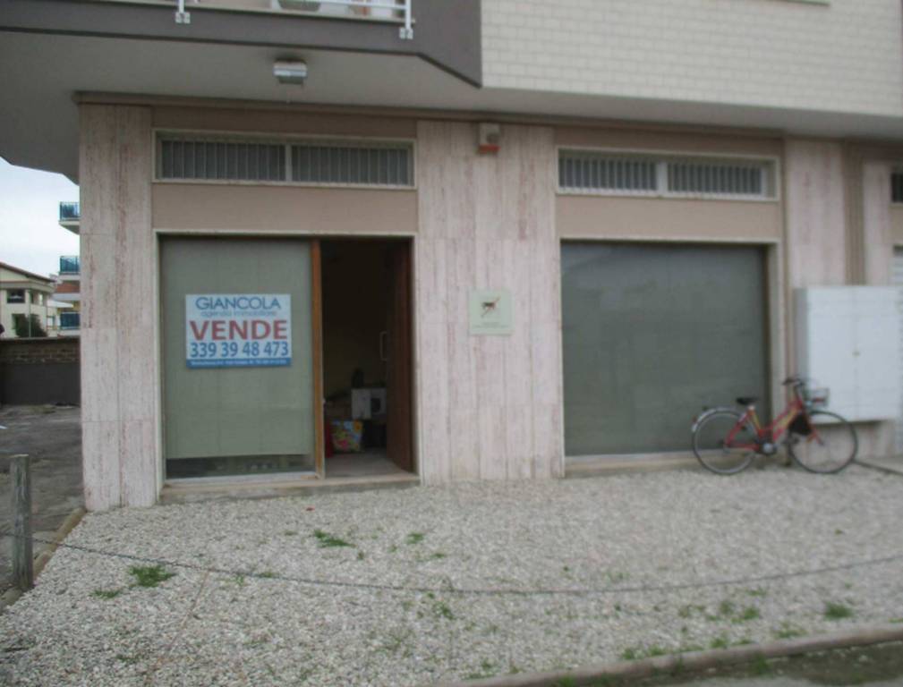 immagine annuncio 7 di 11