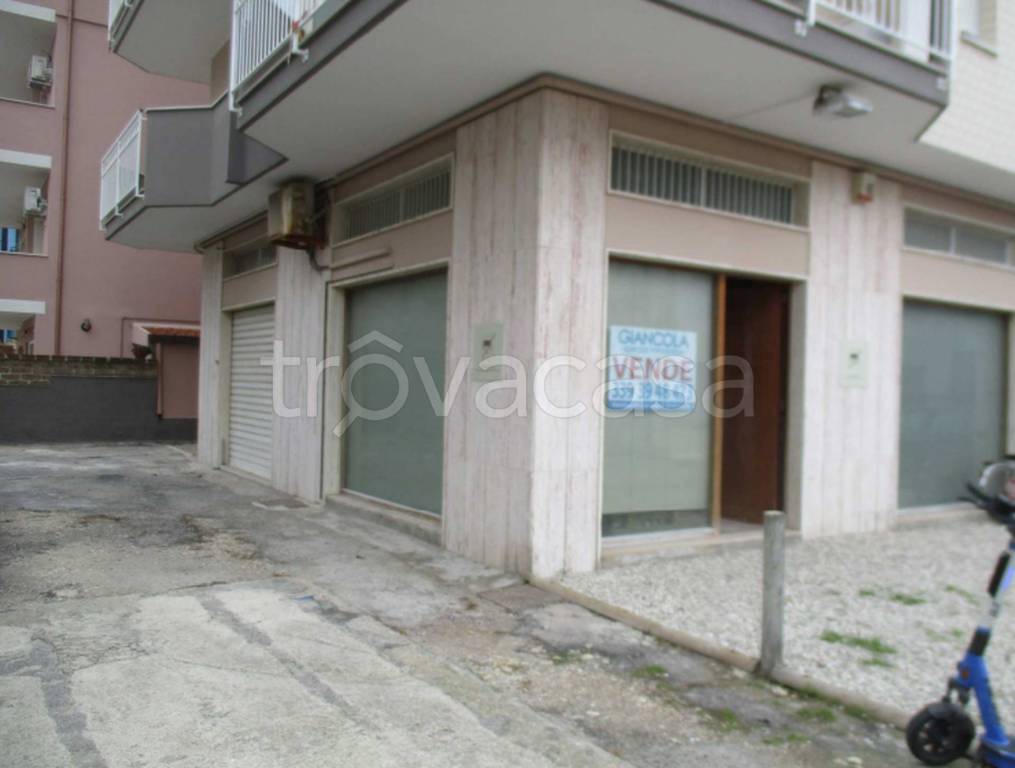 immagine annuncio 9 di 11