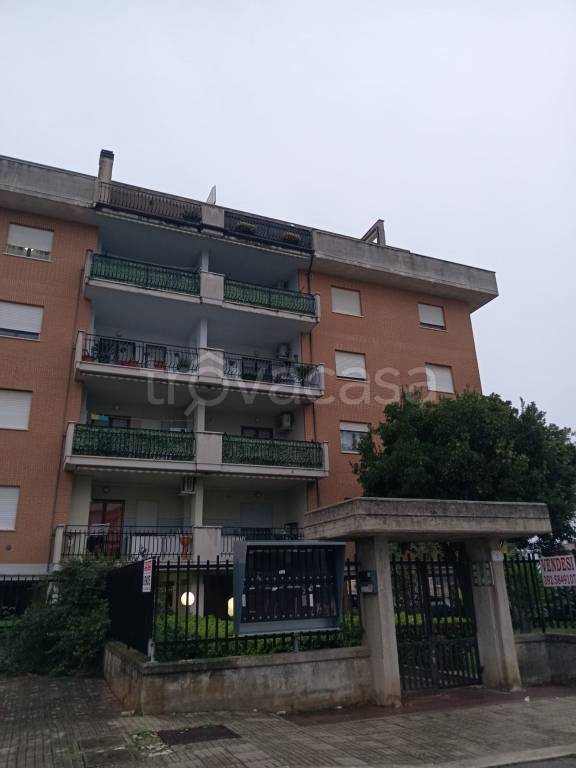 immagine annuncio 3 di 7