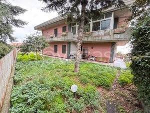 immagine annuncio 7 di 12